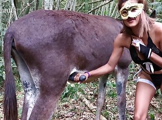 Bestiality Porn Taboo