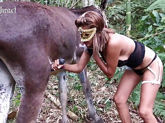 Bestiality Porn Taboo