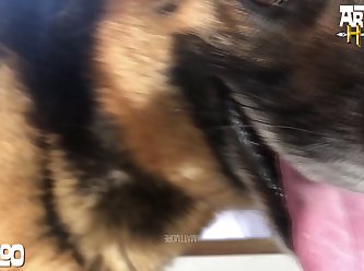 Bestiality Porn Is Www Xxx