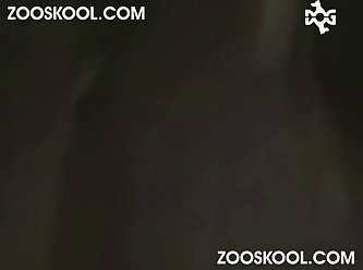Animal On Women Porn