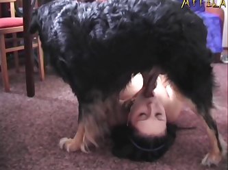 Sex Woth Animal Porn