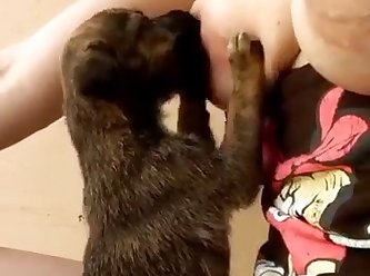 Stuffed Animal Sex Toy Porn