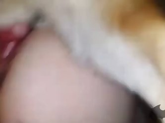 Animal Crossing Pov Porn