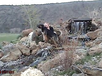 Animal Porn Amature