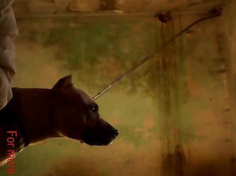 Animal Crossing Femboy Porn