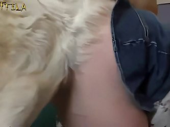 3d Animal Animation Porn