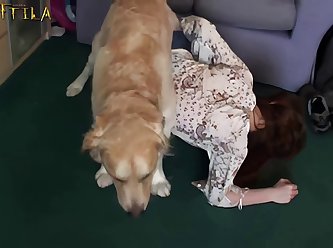 3d Animal Animation Porn