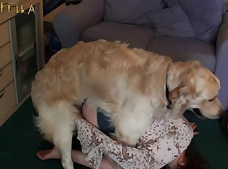 3d Animal Animation Porn
