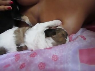 Porn Animal Sperm
