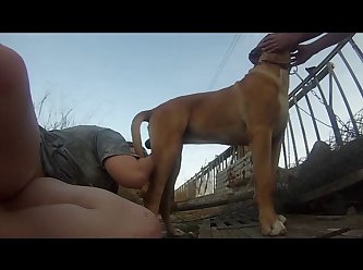 Vintage Animal Porn Movie