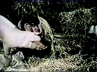 Animal Pocket Pussy Porn