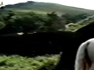 Animal Cruelty Porn