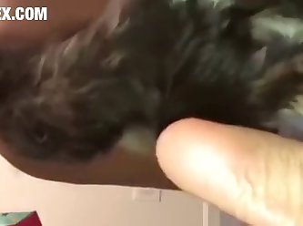 Black Animal Porn