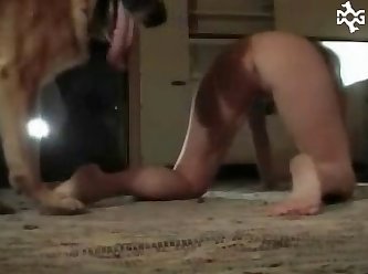 Animal Crossing Train Porn