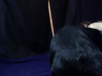 The Egyptian Cat From Animal Crossing Porn