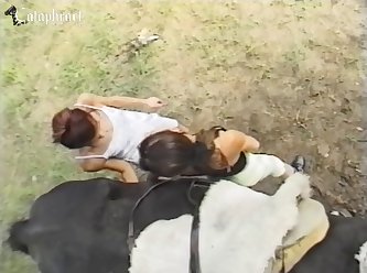 Human And Animal Porn Video