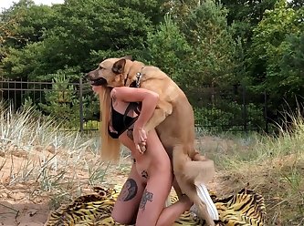 3d Animal Girl Porn