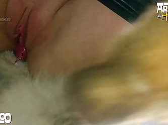 Sexiest Animal Porn