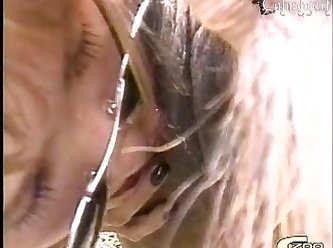 Animal With Porn