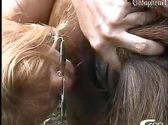 Animal With Porn