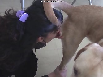 Fucked Like An Animal Porn