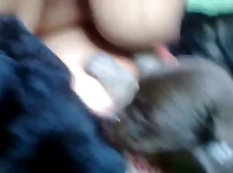 Animal Porn Star