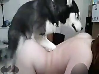 People Animal Porn