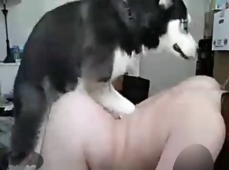 People Animal Porn