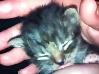 Beast Boy Animal Porn