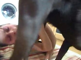Lara Croft 3d Animal Porn