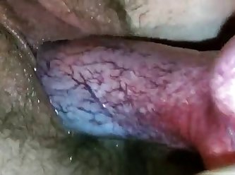 Porn Fucking An Animal