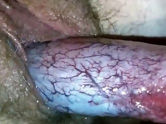 Porn Fucking An Animal