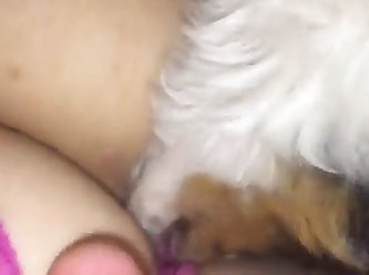 Sex Porn Animal Crossing