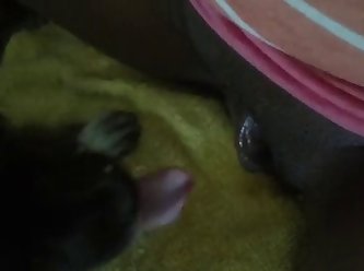 Cartton Animal Porn