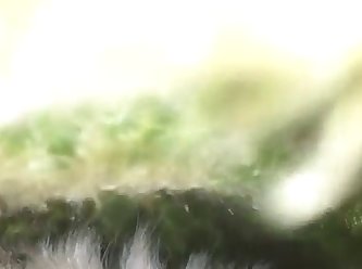 Animal Porn Tube Hd