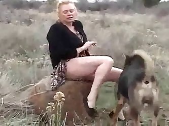 Animal Sucks Man Porn