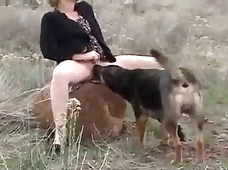 Animal Sucks Man Porn
