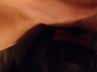 Animal And Human Porn Video