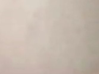 Elephant Porn Animal