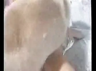 Animal Crossing Porn Egypt