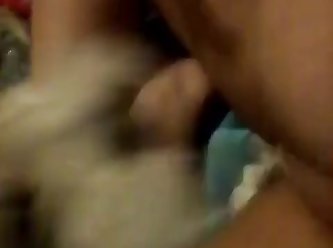 Animal Breed Porn
