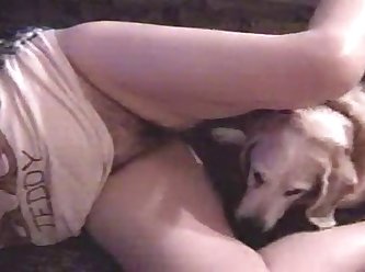 Racoon Animal Porn