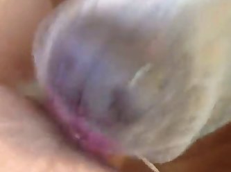 Porn Pussy Animal