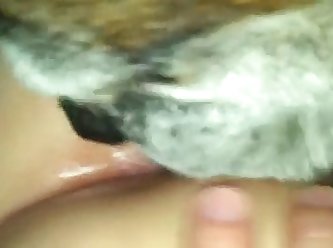 Russian Animal Porn Tube