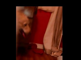 Animal Pussy Porn Gif
