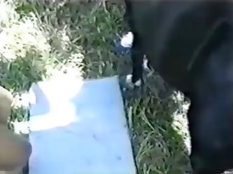 Black Panther Animal Porn