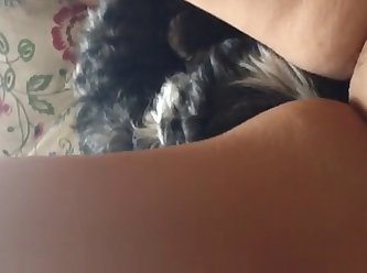 Gay Animal Tf Porn