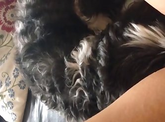 Gay Animal Tf Porn