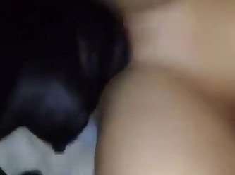 Animal Porn Cock
