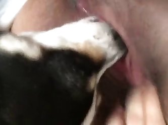 Free Porn With Animal